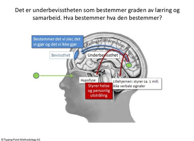 Takk til Tipping Point Methodology