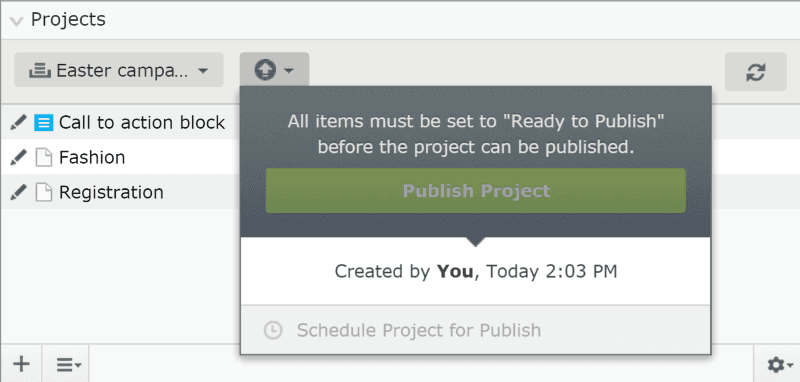 Group content (pages, blocks, pictures, videos and products) into "projects". Publish everything with one click, or schedule automatic publish in the future.
